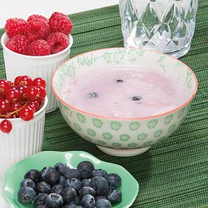 Bosvruchtenpudding (7)